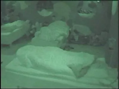 Doamna mamici porn rusă cu cerneală Kayla Green a sedus-o pe tânără